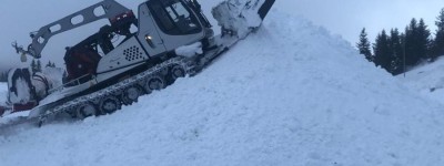 “大熊猫”来到滑雪场 “它们太可爱”