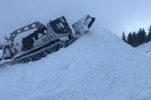 “大熊猫”来到滑雪场 “它们太可爱”