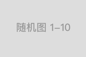 苏建东简介